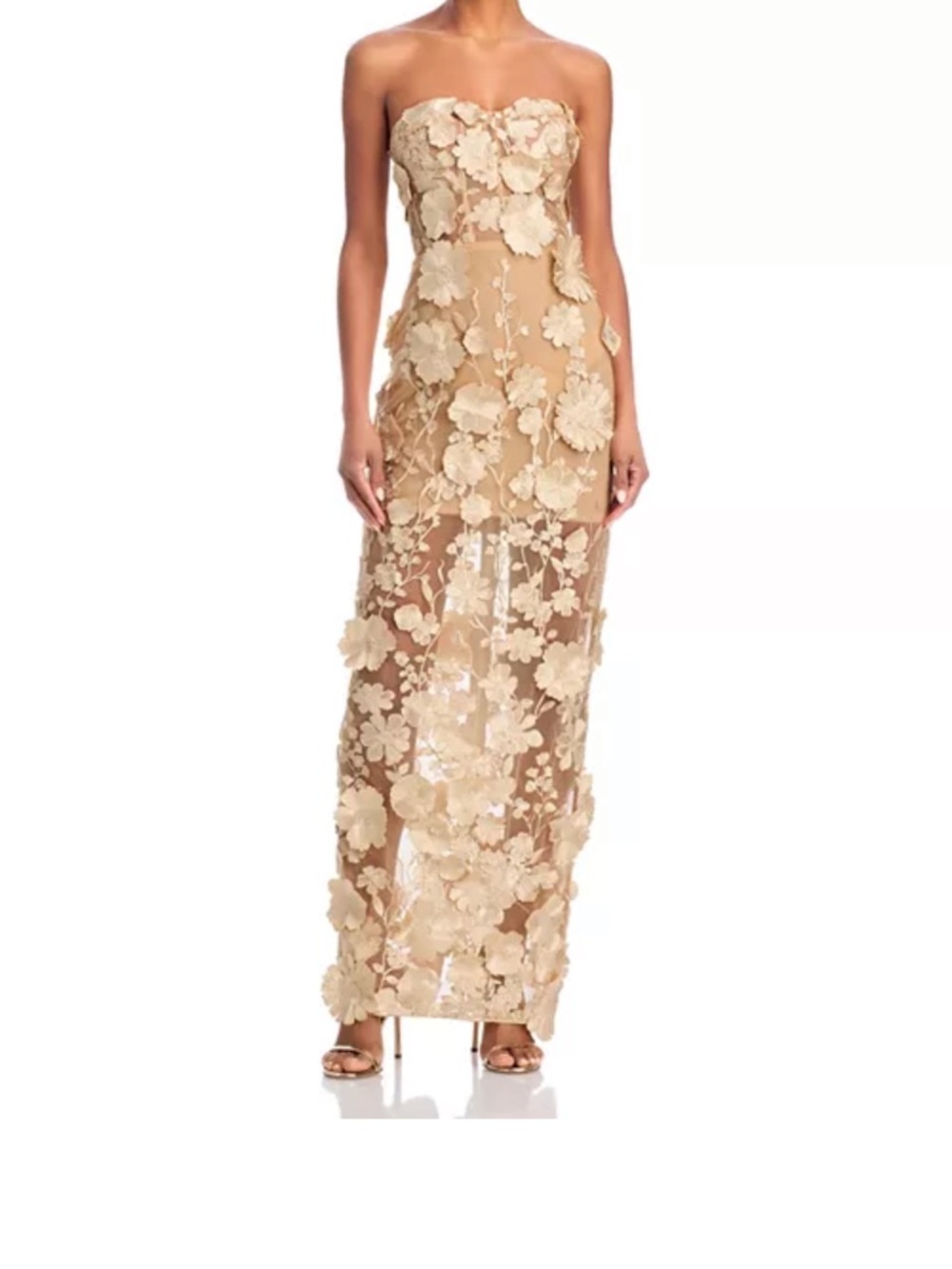 Strapless Floral Appliqué Sheer Gown in Nude